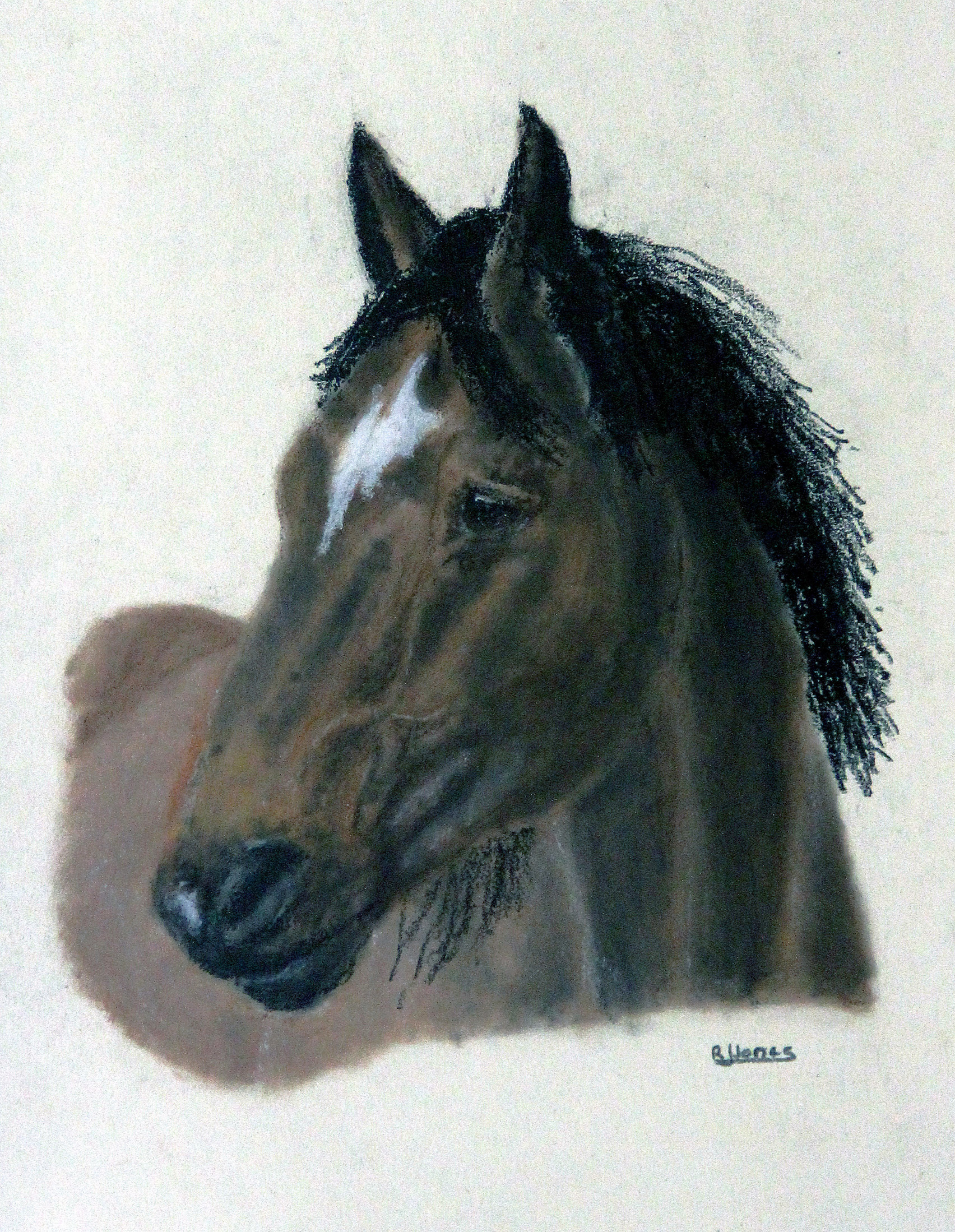 Richard Jones